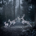 Conjunto Natalino de 5 Renas Iluminadas com LED em Duas Cores